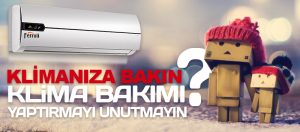 Windsor Klima Bakım Montaj Tamir Servisi  İzmir