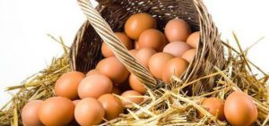 Organik Yumurta Ücretleri İstanbul