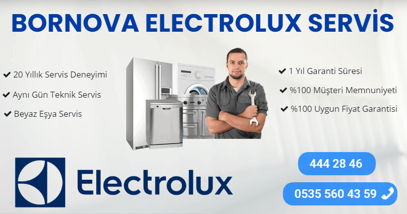 bornova electrolux servis