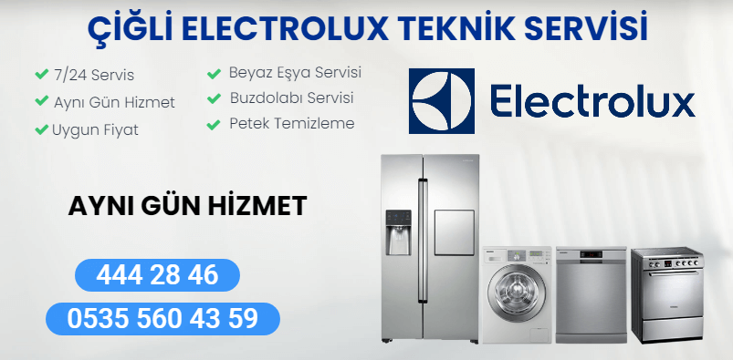 çiğli electrolux teknik servisi